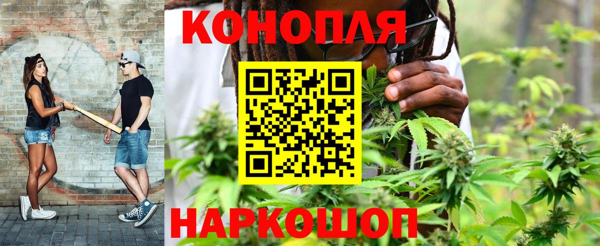 Заречный  Бошки Шишки семена  Вход с VPN  МАРИХУАНА ГИДРОПОН 